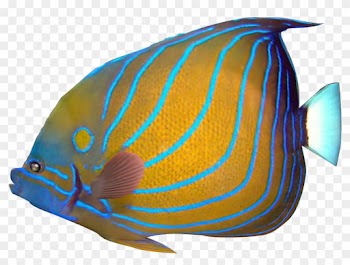 Tropical Fish Clipart Transparent Fish - Tropical Fish Png Transparent