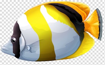 Tropical fish Lined butterflyfish , fish transparent background PNG clipart