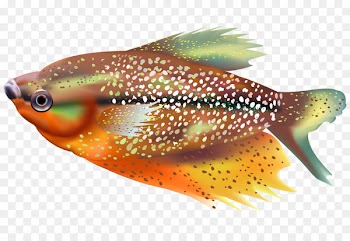 Tropical fish Marine biology - Cartoon tropical fish material 