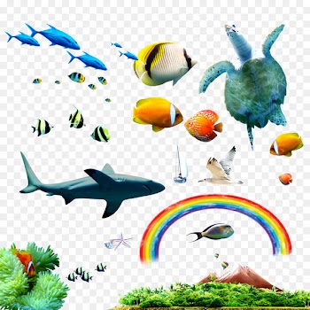 Tropical fish Sea Clip art - Seabed material package 