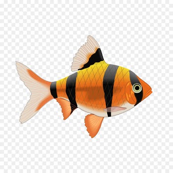 Tropical fish Tile Tigerfish Decal - fish 