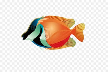 Tropical fish - Tropical Fish Photos 