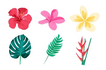 Tropical flower and leaf pack Free Vector