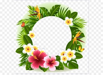 Tropical flower decorative borders 
