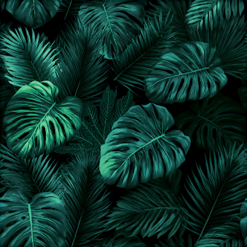Tropical Foliage Pattern with Monstera Leaves and Palm Fronds