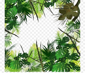 Tropical forest Amazon rainforest Jungle Tropics Tropical rainforest - Tropical trees 