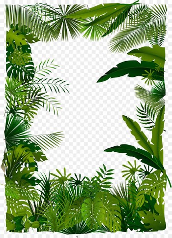 Tropical forest Euclidean vector Tree Illustration - Vector trees 