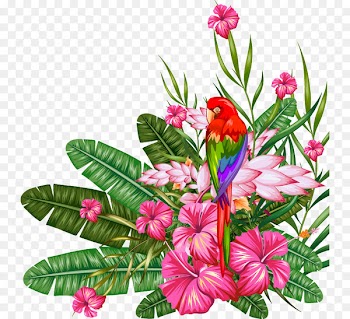 Tropical forest Tropics Clip art - Tropical plant material 