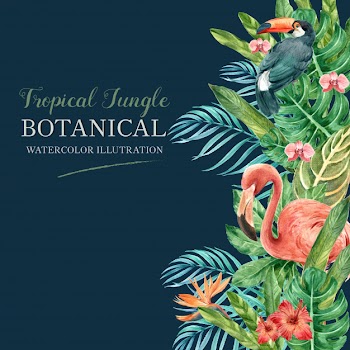 Tropical frame border summer with plants foliage exotic, creative watercolor Free Vector