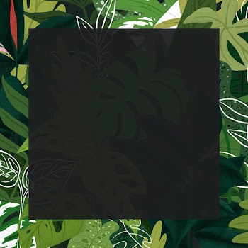 Tropical frame psd leaf botanical… | Free stock illustration | High Resolution graphic