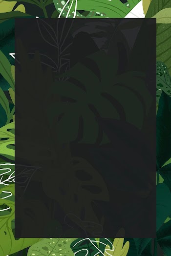 Tropical frame psd leaf botanical… | Free stock illustration | High Resolution graphic