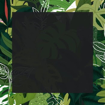 Tropical frame vector leaf botanical… | Free stock illustration | High Resolution graphic