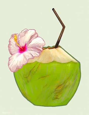 Tropical fresh young coconut illustration | Free stock vector - 463831