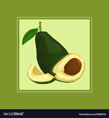 tropical fruit avocado