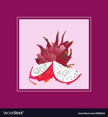 tropical fruit dragon fruit