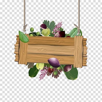 Tropical fruit graphics Watercolor painting Atogrąžos, tropical almond transparent background PNG clipart