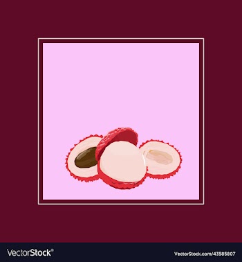 tropical fruit lychee