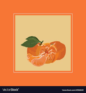tropical fruit mandarin