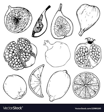 Tropical fruit vector image