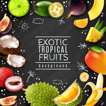 Tropical fruits frame chalk board background Free Vector