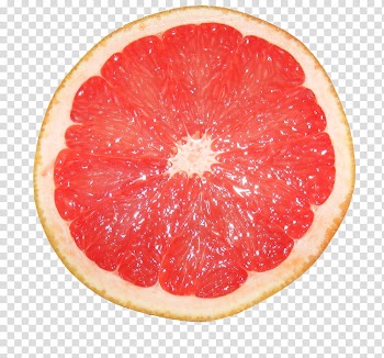 Tropical fruits, sliced fruit art transparent background PNG clipart