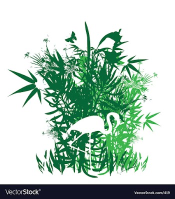 Tropical garden greens vector image