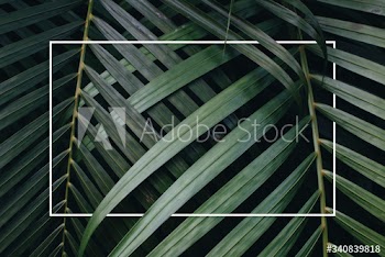 Tropical green leaves background