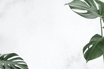 Tropical green psd leaves frame