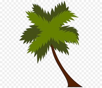 Tropical Islands Cocoplum Bay Beach Seaside resort - beach 