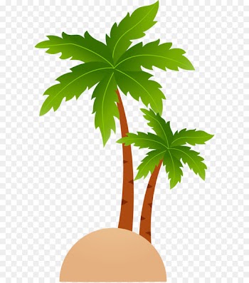 Tropical Islands Resort Cartoon Clip art - Fresh coconut tree vector 