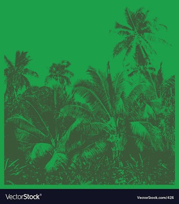 Tropical jungle vector image