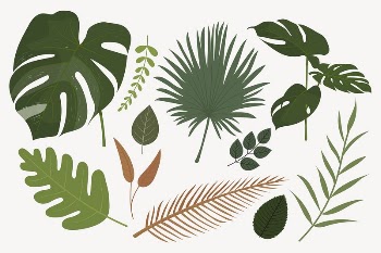 Tropical leaf clipart, cute cartoon | Free PSD - rawpixel