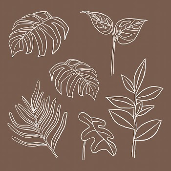 Tropical leaf vector doodle botanical… | Free stock illustration | High Resolution graphic