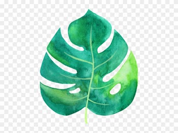 Tropical Leaf Watercolor - Tropic Tropical Leaf Png