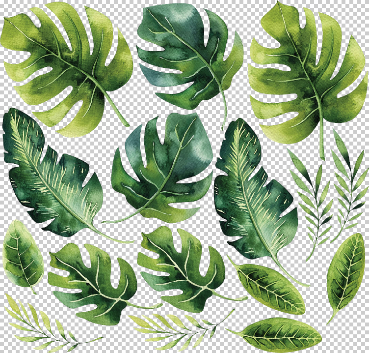 tropical leaves