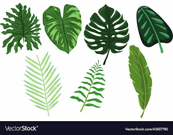 tropical leaves