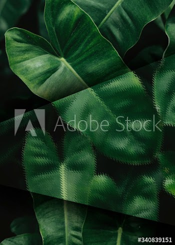 Tropical leaves background