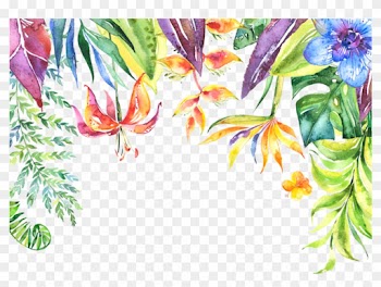 Tropical Leaves Flowers Plants Border - Tropical Frame Transparent Background