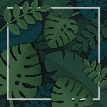 Tropical leaves frame