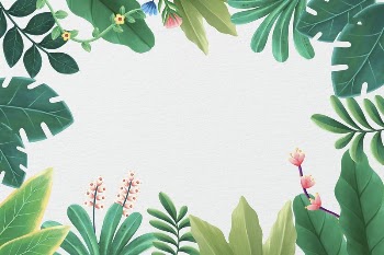 Tropical leaves frame background, botanical | Free Photo Illustration - rawpixel