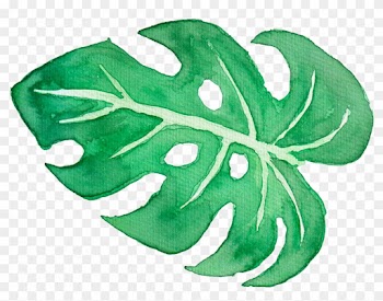 Tropical Leaves On Behance - Tropical Leaves Watercolor Png