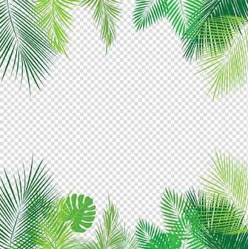 tropical leaves palmleaves summer border overlay freeto...