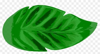Tropical Leaves Vector Clip Art Eps Images - Tropical Leaf Clipart