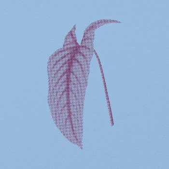 Tropical long leaf graphic element, | Free PSD - rawpixel