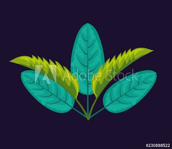 tropical natural leaves
