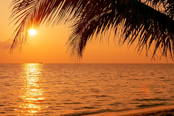 Tropical Ocean Sunset with Palm Fronds