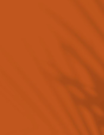 Tropical orange background, palm leaf | Free Photo - rawpixel
