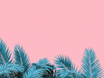 Tropical Palm Leaves on Pink Background