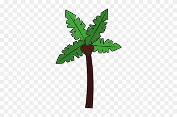 Tropical Palm Tree Coconut Natural - Coconut