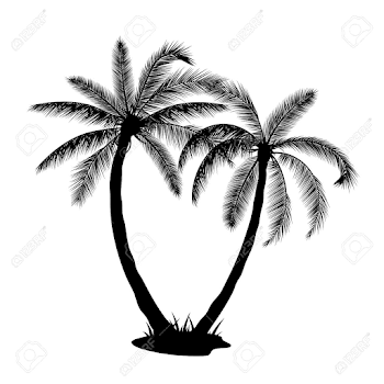 Tropical Palm Trees Silhouettes Isolated On White Background ...